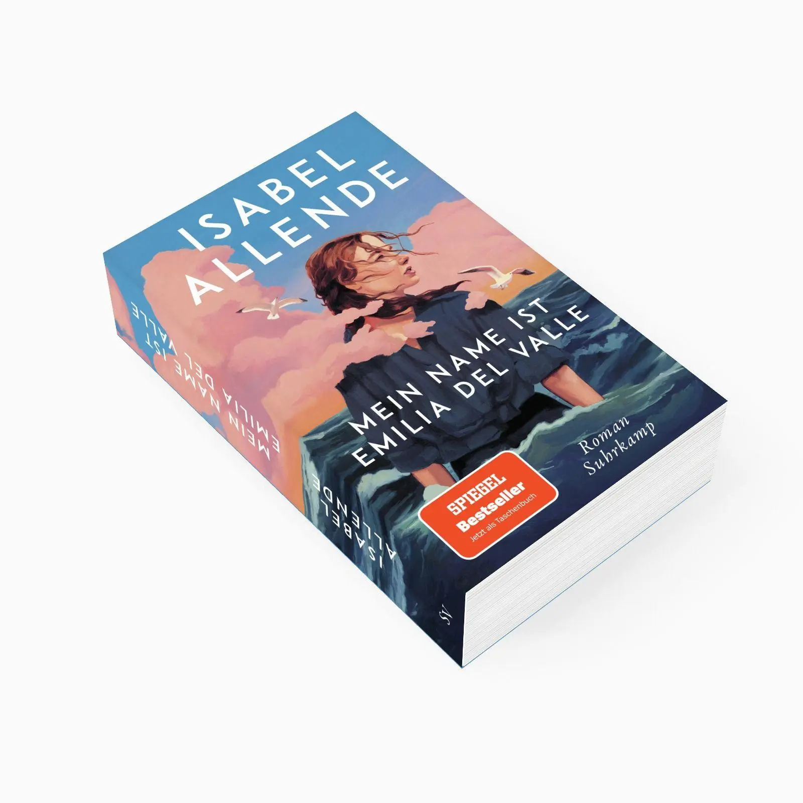Bild: 9783518475881 | Mein Name ist Emilia del Valle | Roman | Isabel Allende | Taschenbuch