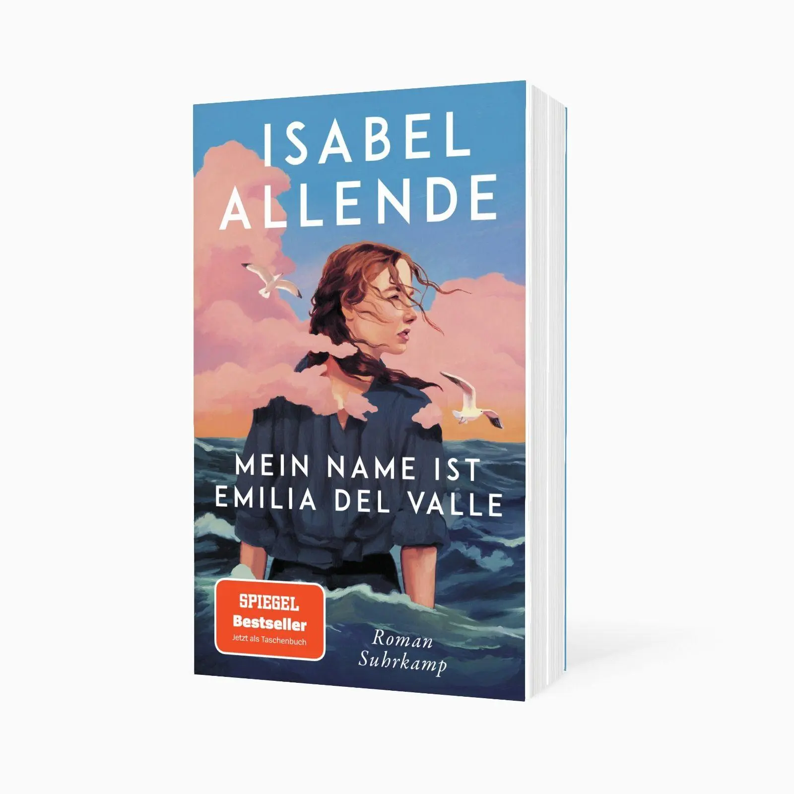 Bild: 9783518475881 | Mein Name ist Emilia del Valle | Roman | Isabel Allende | Taschenbuch