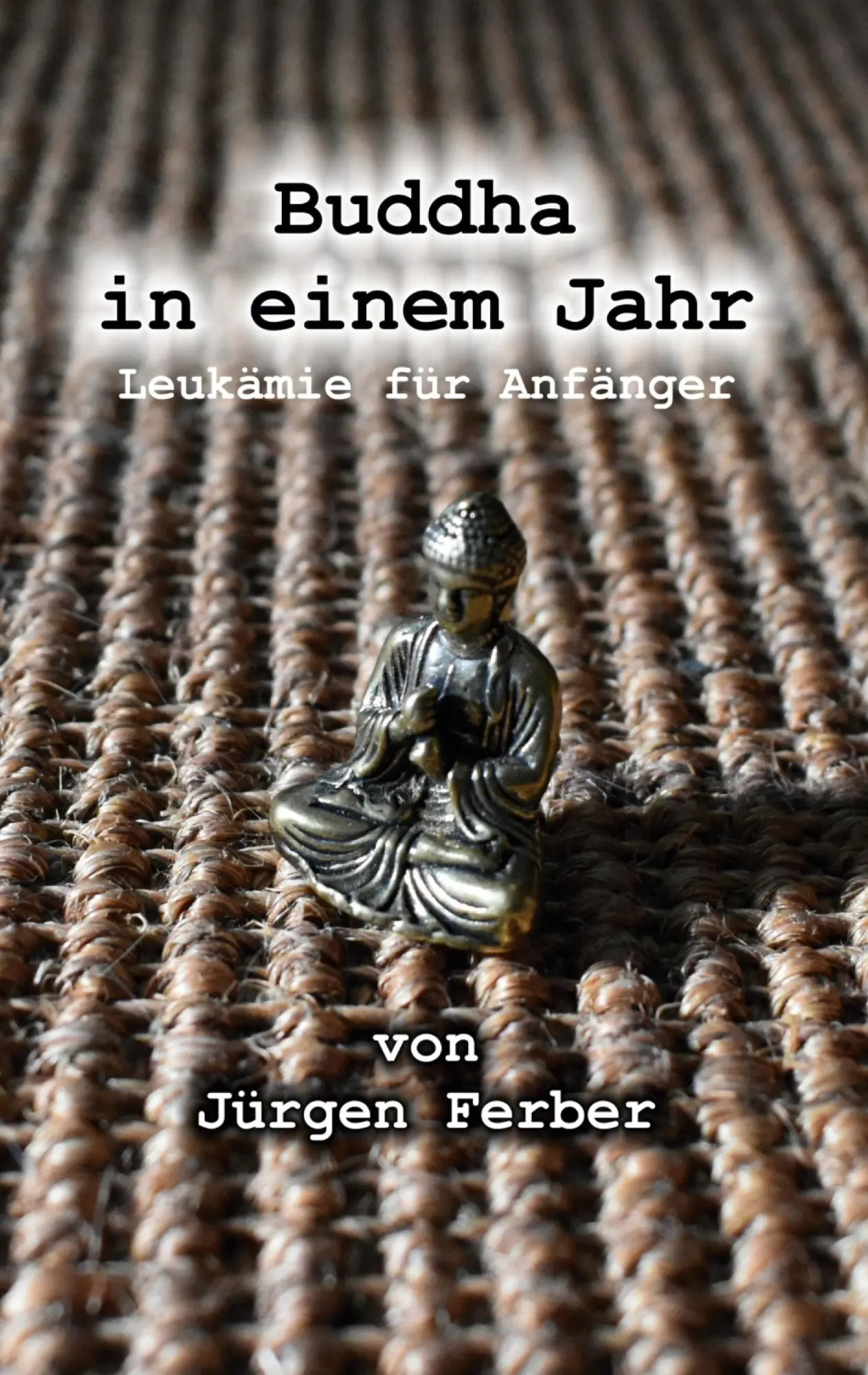 Cover: 9783819295881 | Buddha in einem Jahr | Leukämie für Anfänger | Jürgen Ferber | Buch