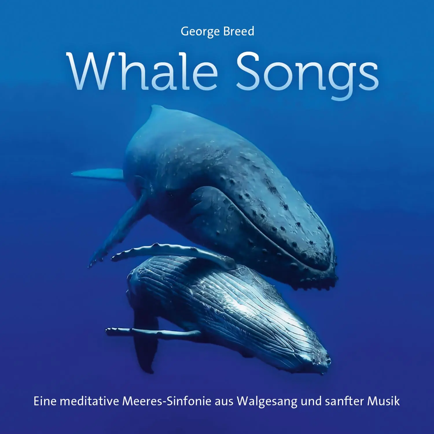 Cover: 9783957665881 | Whale Songs | Audio-CD | 4 S. | Englisch | 2024 | Neptun Media GmbH