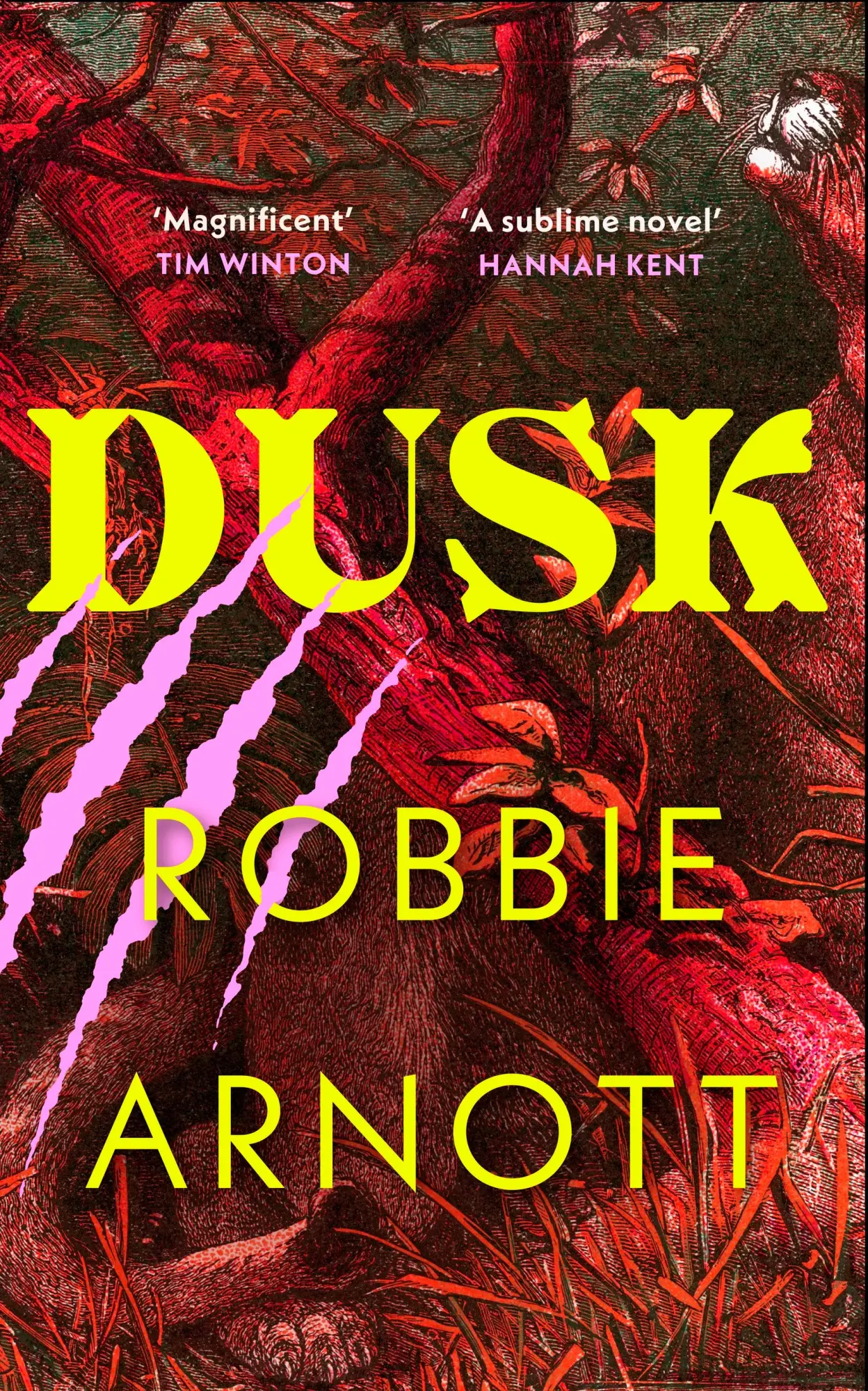 Cover: 9781784745981 | Dusk | Robbie Arnott | Buch | Englisch | 2025 | Random House UK Ltd