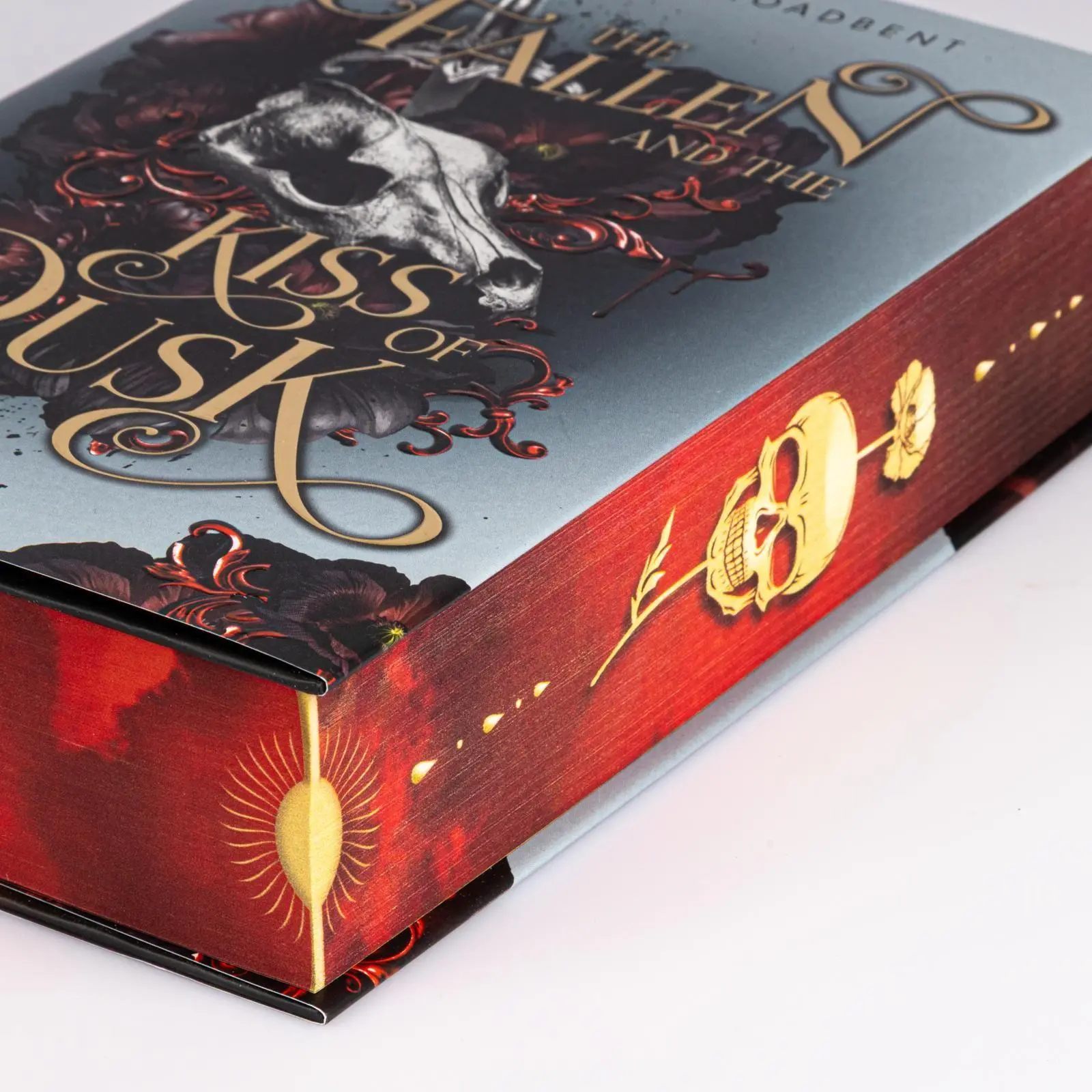 Bild: 9783551585981 | The Fallen and the Kiss of Dusk (Crowns of Nyaxia 4) | Broadbent