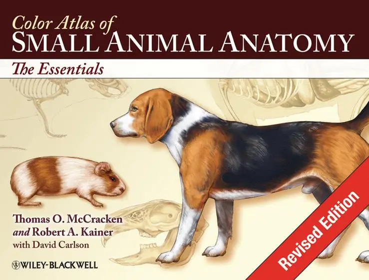 Cover: 9780813816081 | Color Atlas of Small Animal Anatomy | The Essentials | Kainer (u. a.)