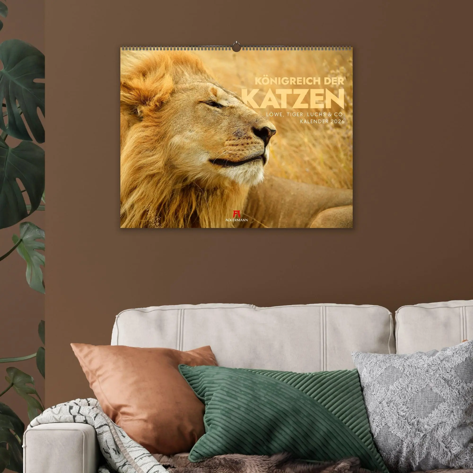 Bild: 9783838436081 | Königreich der Katzen Kalender 2026 Löwe, Tiger, Luchs &amp; Co | GmbH