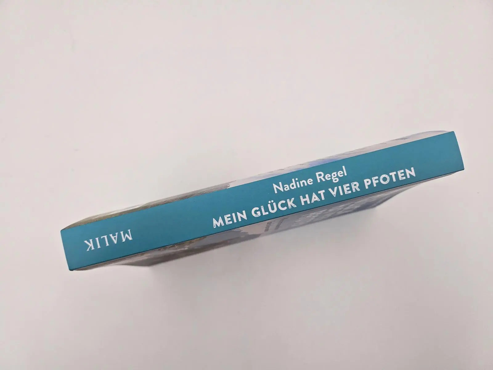 Bild: 9783890296081 | Mein Glück hat vier Pfoten | Nadine Regel | Taschenbuch | 240 S.
