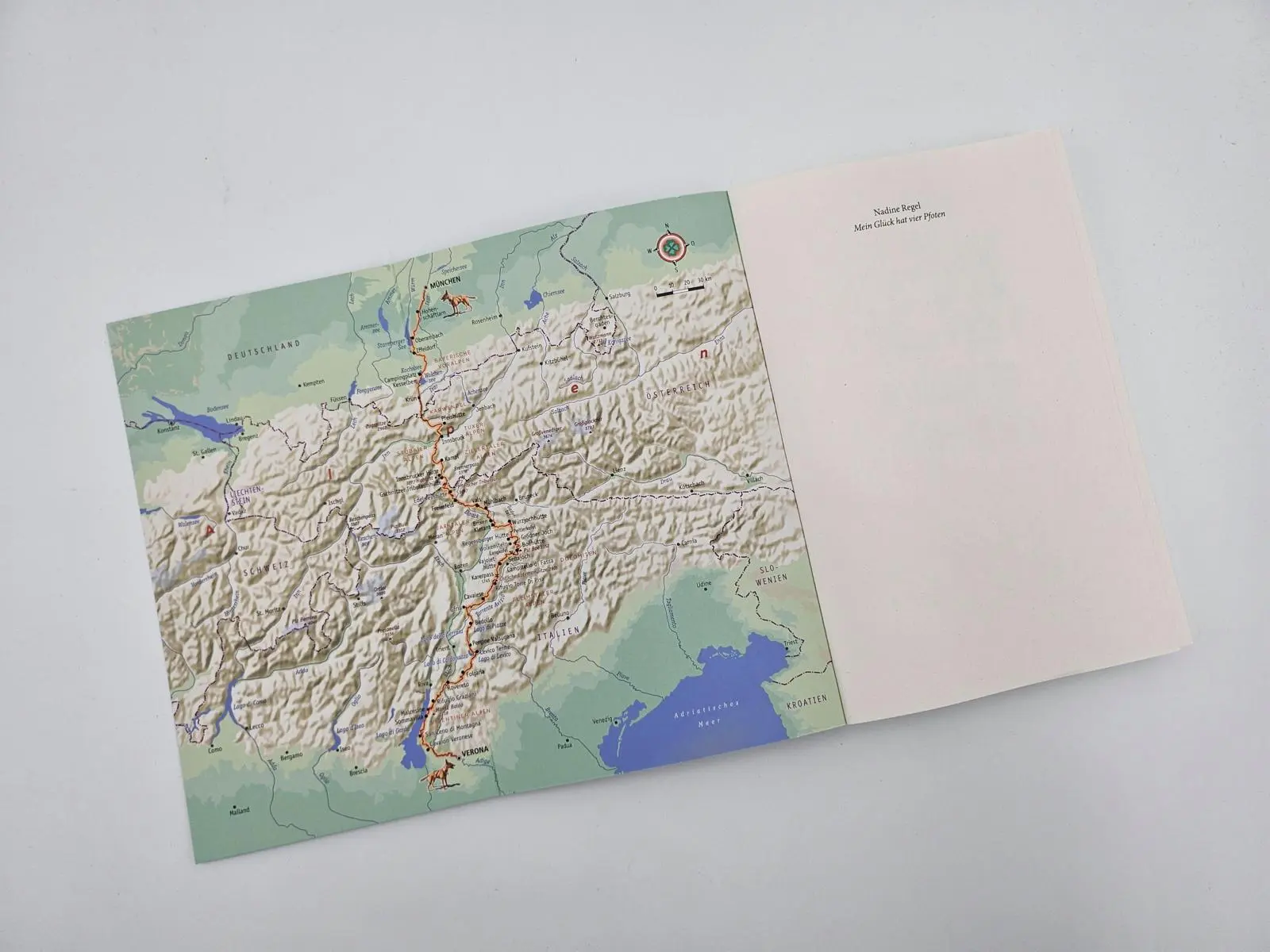 Bild: 9783890296081 | Mein Glück hat vier Pfoten | Nadine Regel | Taschenbuch | 240 S.