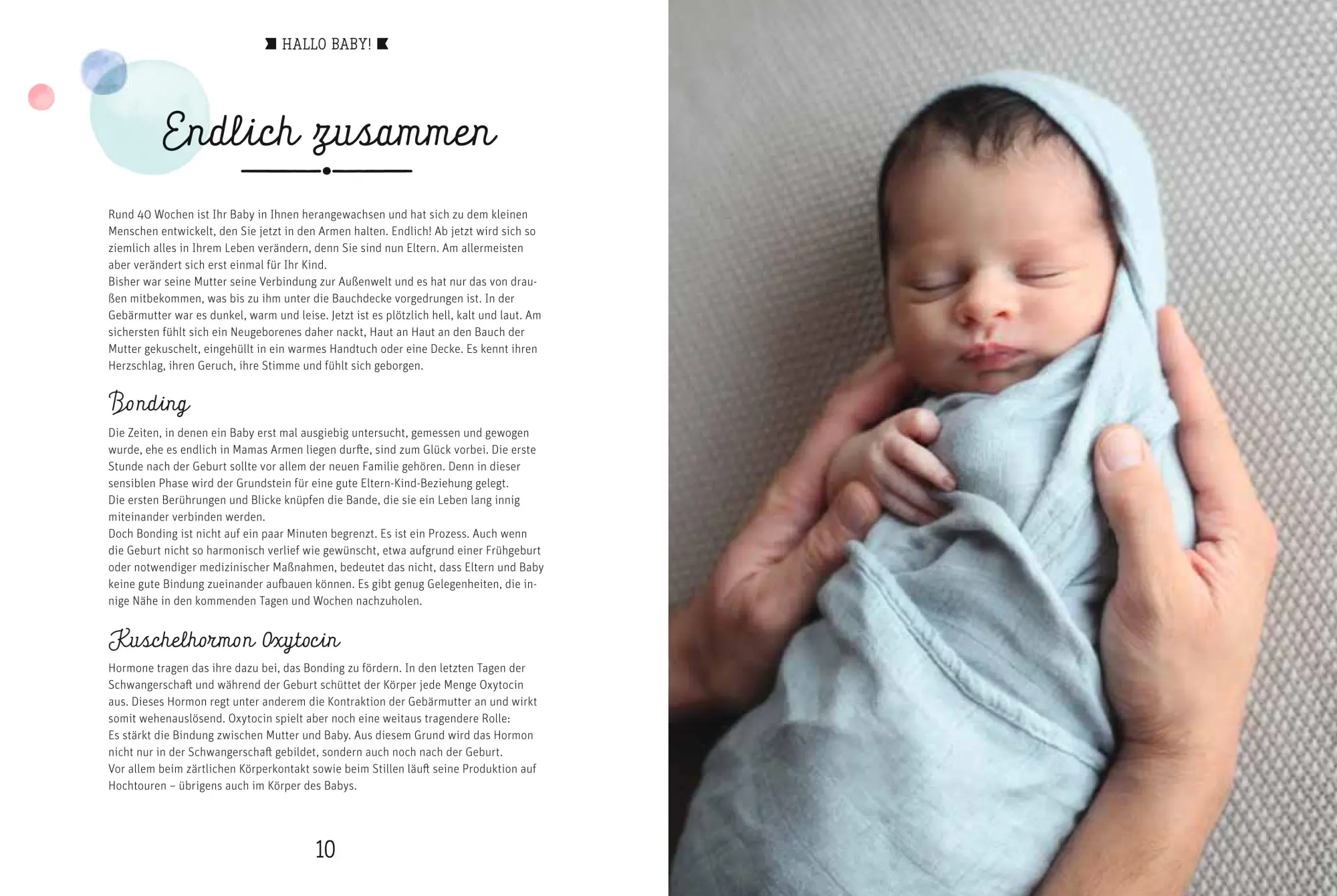 Bild: 9783898836081 | Gesund von Anfang an | Alles rund um Babys erstes Jahr | Keicher | ZS