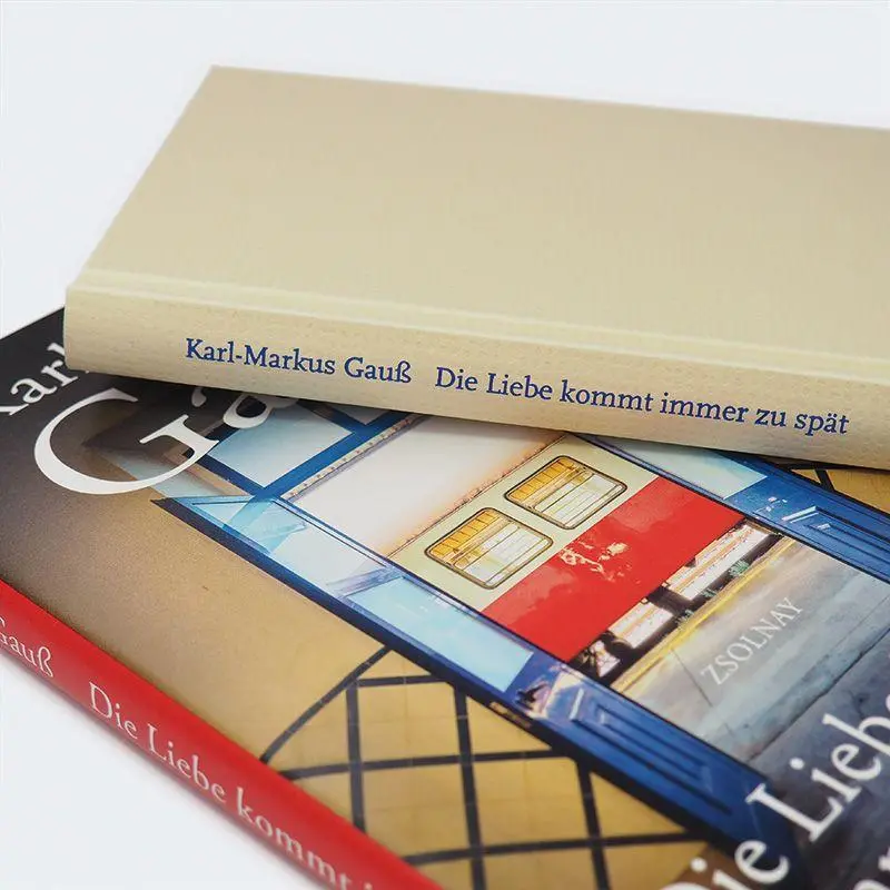 Bild: 9783552076181 | Die Liebe kommt immer zu spät | Drei Reisen | Karl-Markus Gauß | Buch