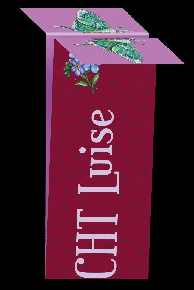 Bild: 9783596706181 | Vergissmeinnicht - Was man bei Licht nicht sehen kann | Kerstin Gier