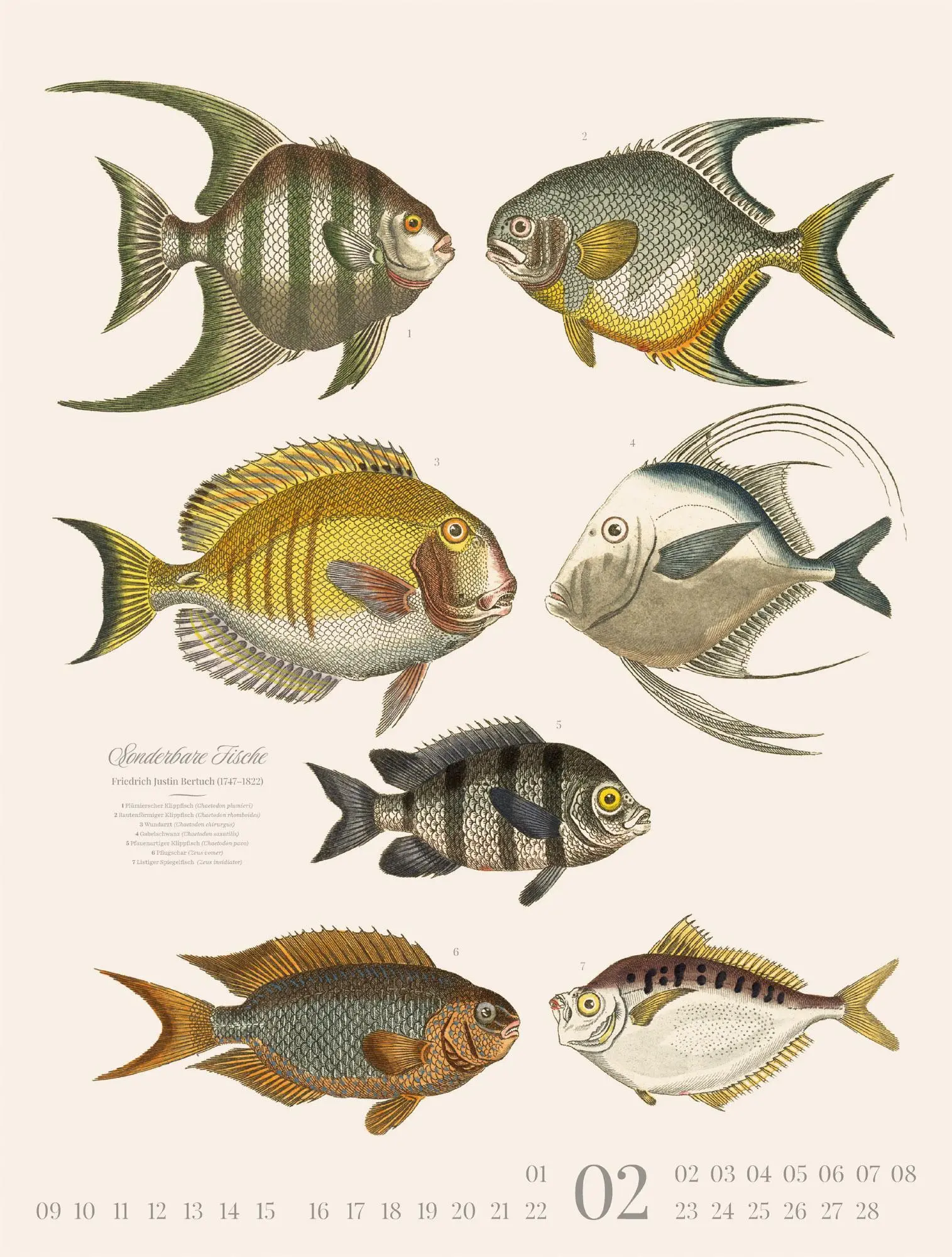 Bild: 9783838426181 | Fische Kalender 2026 | Friedrich Justin Bertuch (u. a.) | Kalender