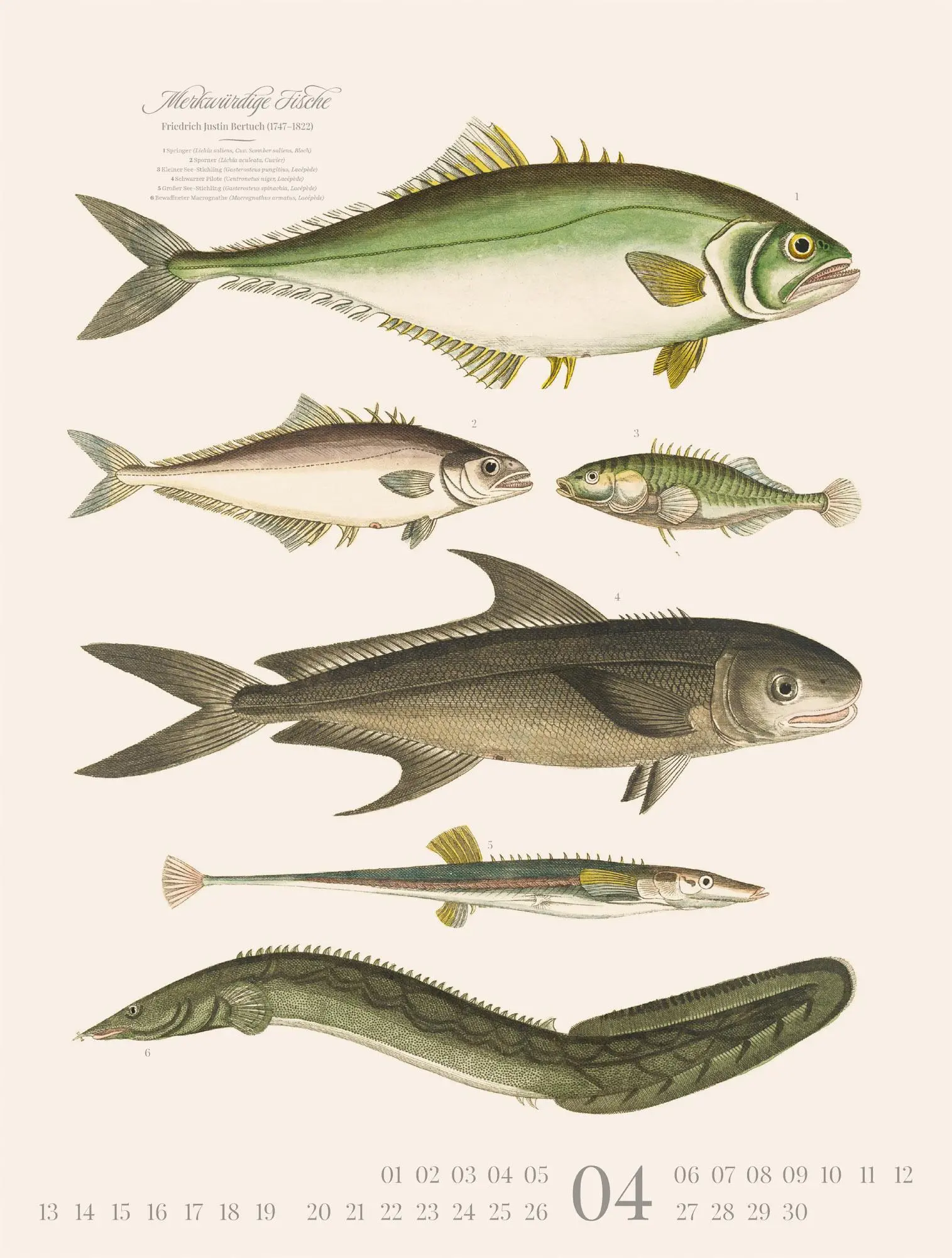 Bild: 9783838426181 | Fische Kalender 2026 | Friedrich Justin Bertuch (u. a.) | Kalender
