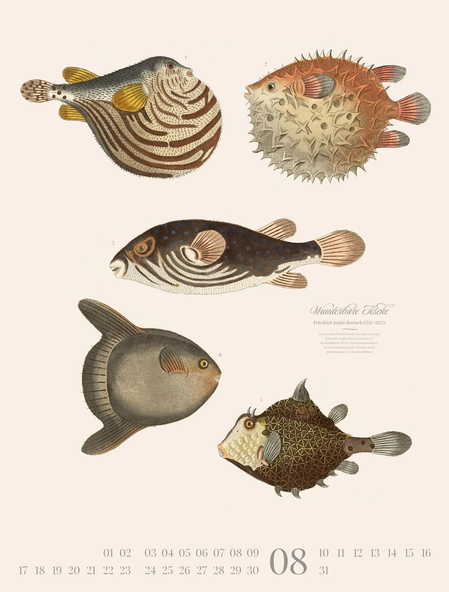 Bild: 9783838426181 | Fische Kalender 2026 | Friedrich Justin Bertuch (u. a.) | Kalender