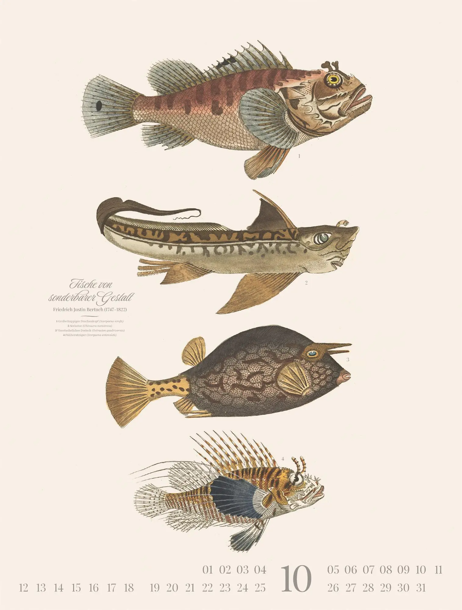 Bild: 9783838426181 | Fische Kalender 2026 | Friedrich Justin Bertuch (u. a.) | Kalender