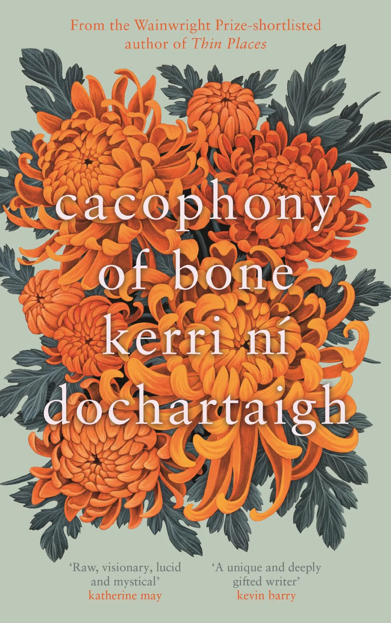 Cover: 9781838856281 | Cacophony of Bone | Kerri ni Dochartaigh | Buch | Gebunden | Englisch