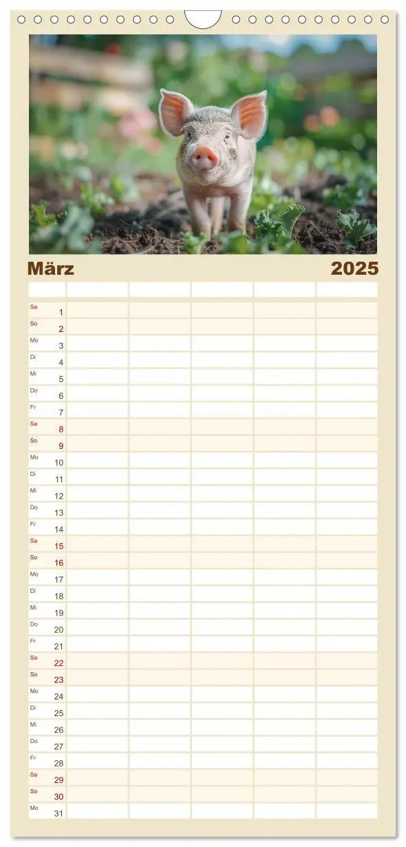 Bild: 9783457196281 | Familienplaner 2025 - Pure Glücksmomente mit 5 Spalten...