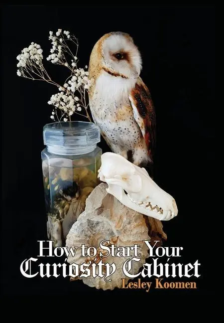 Cover: 9789464356281 | How to Start Your Curiosity Cabinet | Lesley Koomen | Buch | Gebunden