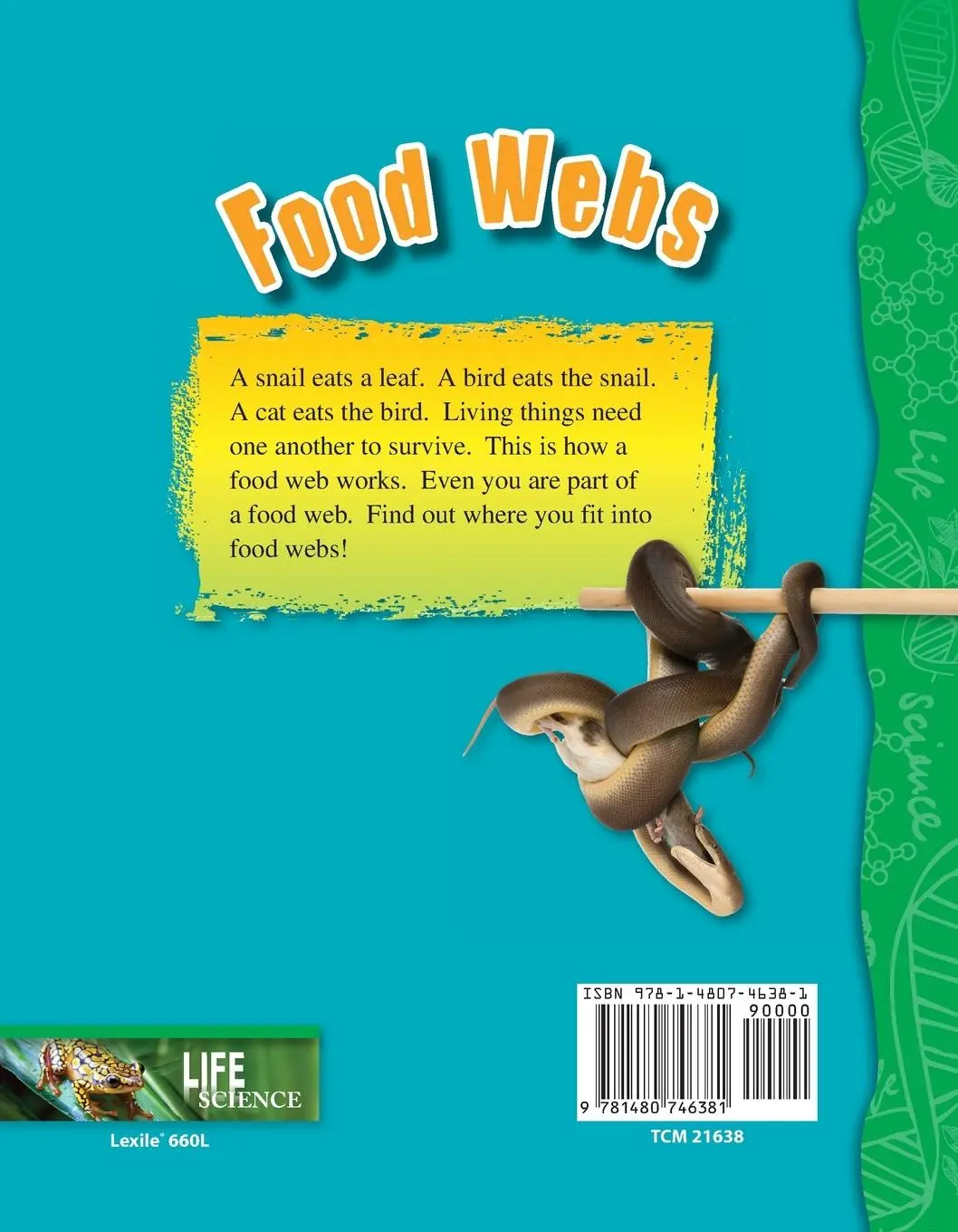 Rückseite: 9781480746381 | Food Webs | Lisa Perlman Greathouse | Taschenbuch | Englisch | 2015