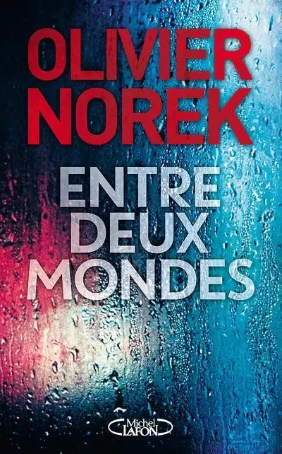 Cover: 9782266286381 | Entre deux mondes | Olivier Norek | Taschenbuch | Französisch | 2018
