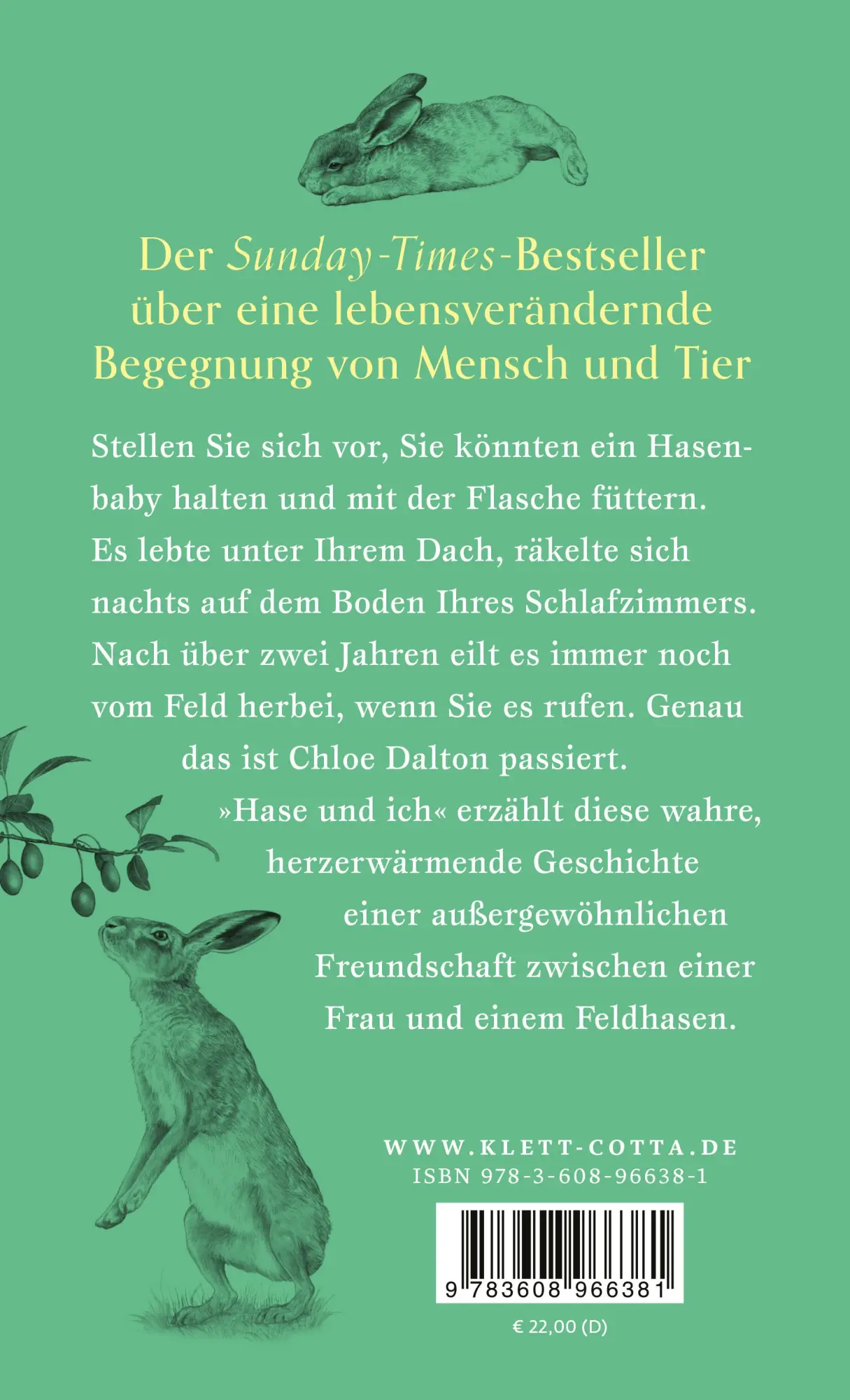 Rückseite: 9783608966381 | Hase und ich | Chloe Dalton | Buch | 304 S. | Deutsch | 2025