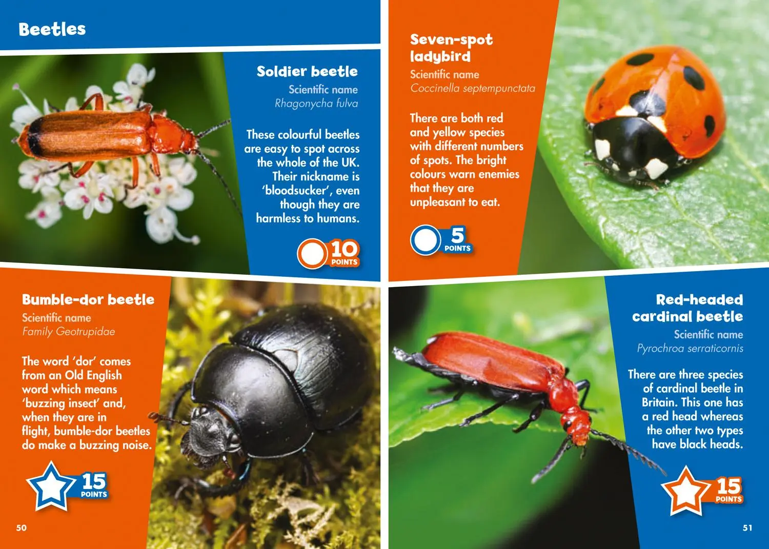 Bild: 9780008386481 | i-SPY Creepy Crawlies | Spy it! Score it! | I-Spy | Taschenbuch | 2020