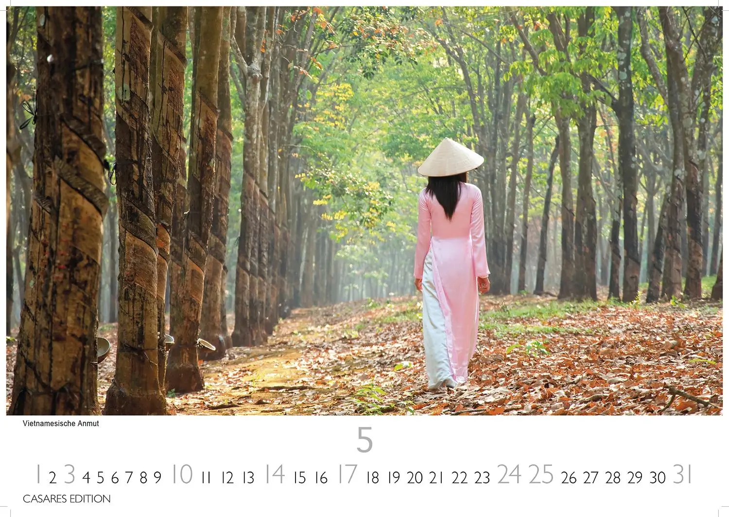 Bild: 9781835246481 | Vietnam 2026 S 24x35cm | Kalender | 14 S. | Deutsch | 2026