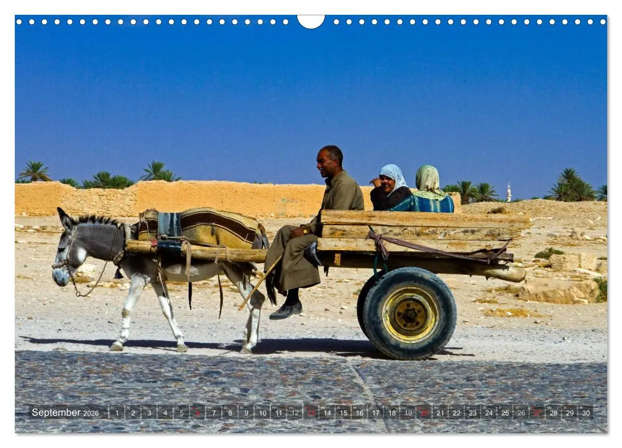 Bild: 9783516026481 | Palmyra - Historisches Syrien (Wandkalender 2026 DIN A3 quer),...