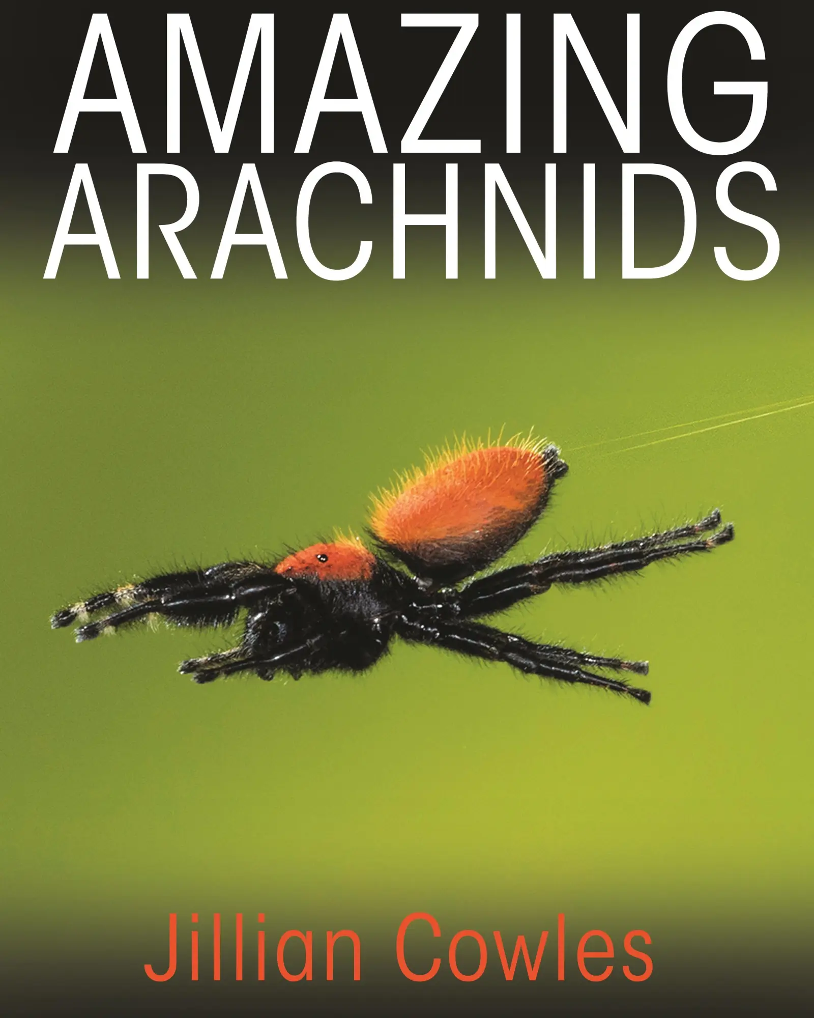 Cover: 9780691176581 | Amazing Arachnids | Jillian Cowles | Buch | Einband - fest (Hardcover)