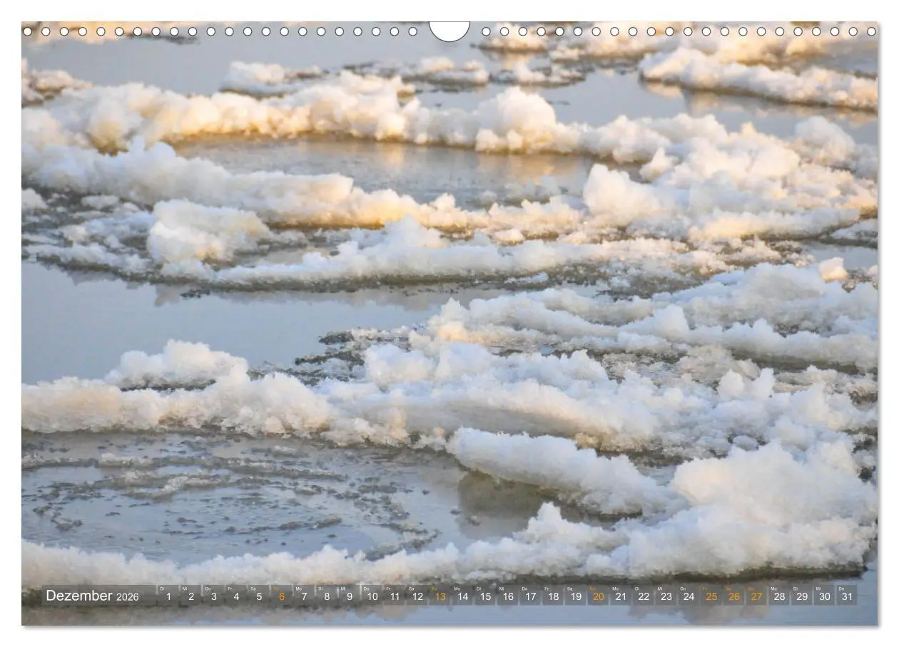 Bild: 9783457786581 | Im Oderbruch (Wandkalender 2026 DIN A3 quer), CALVENDO Monatskalender
