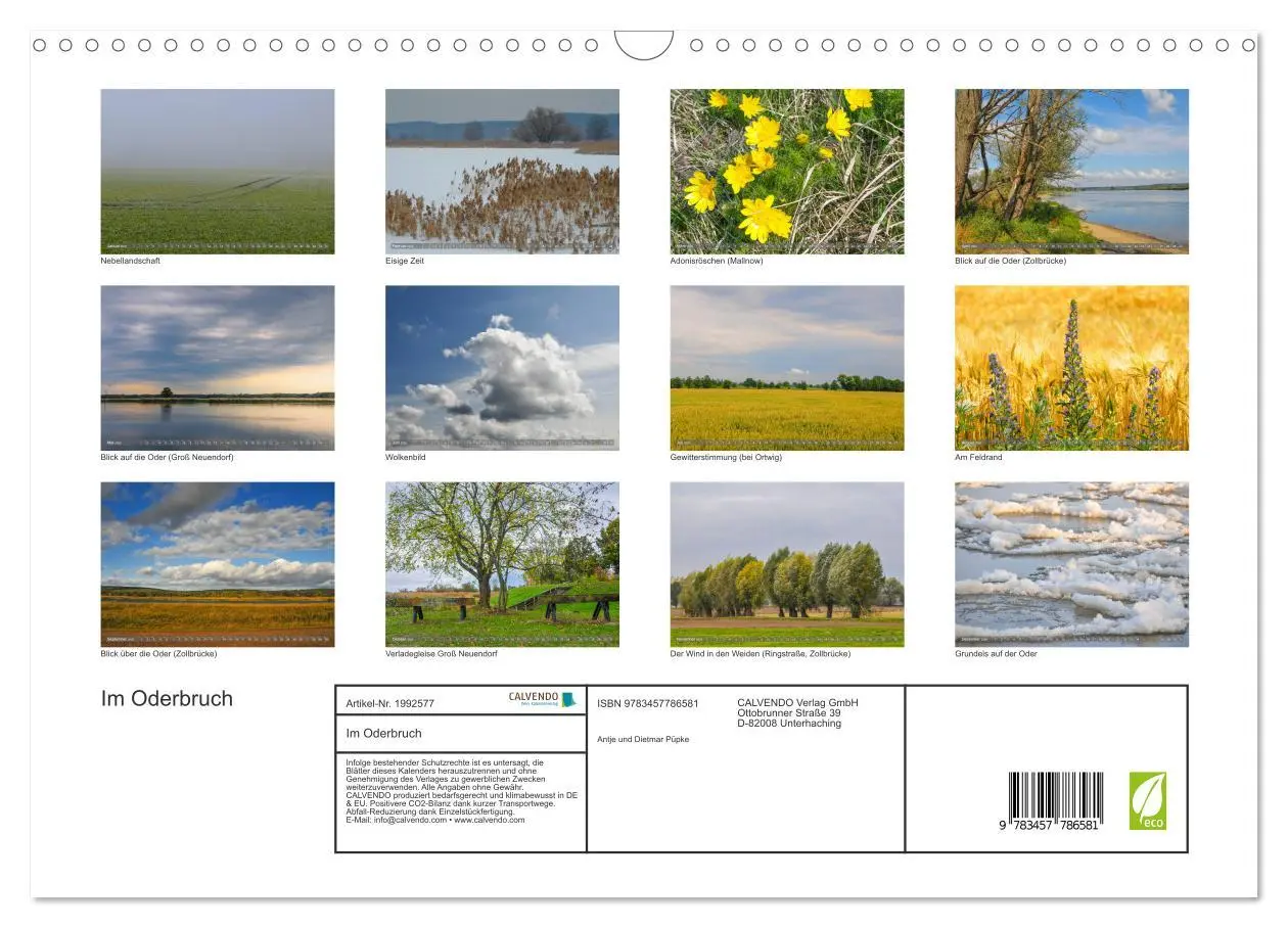 Bild: 9783457786581 | Im Oderbruch (Wandkalender 2026 DIN A3 quer), CALVENDO Monatskalender