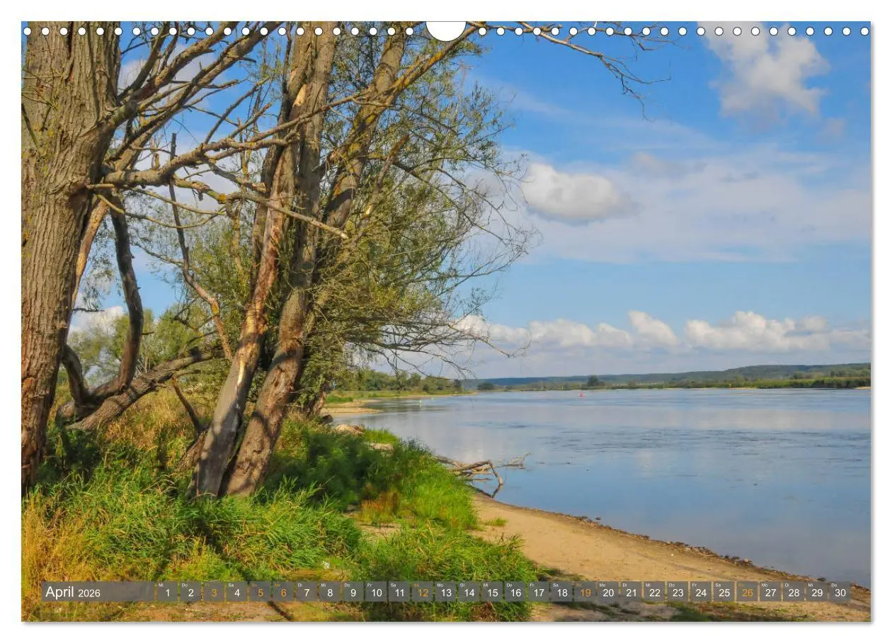 Bild: 9783457786581 | Im Oderbruch (Wandkalender 2026 DIN A3 quer), CALVENDO Monatskalender