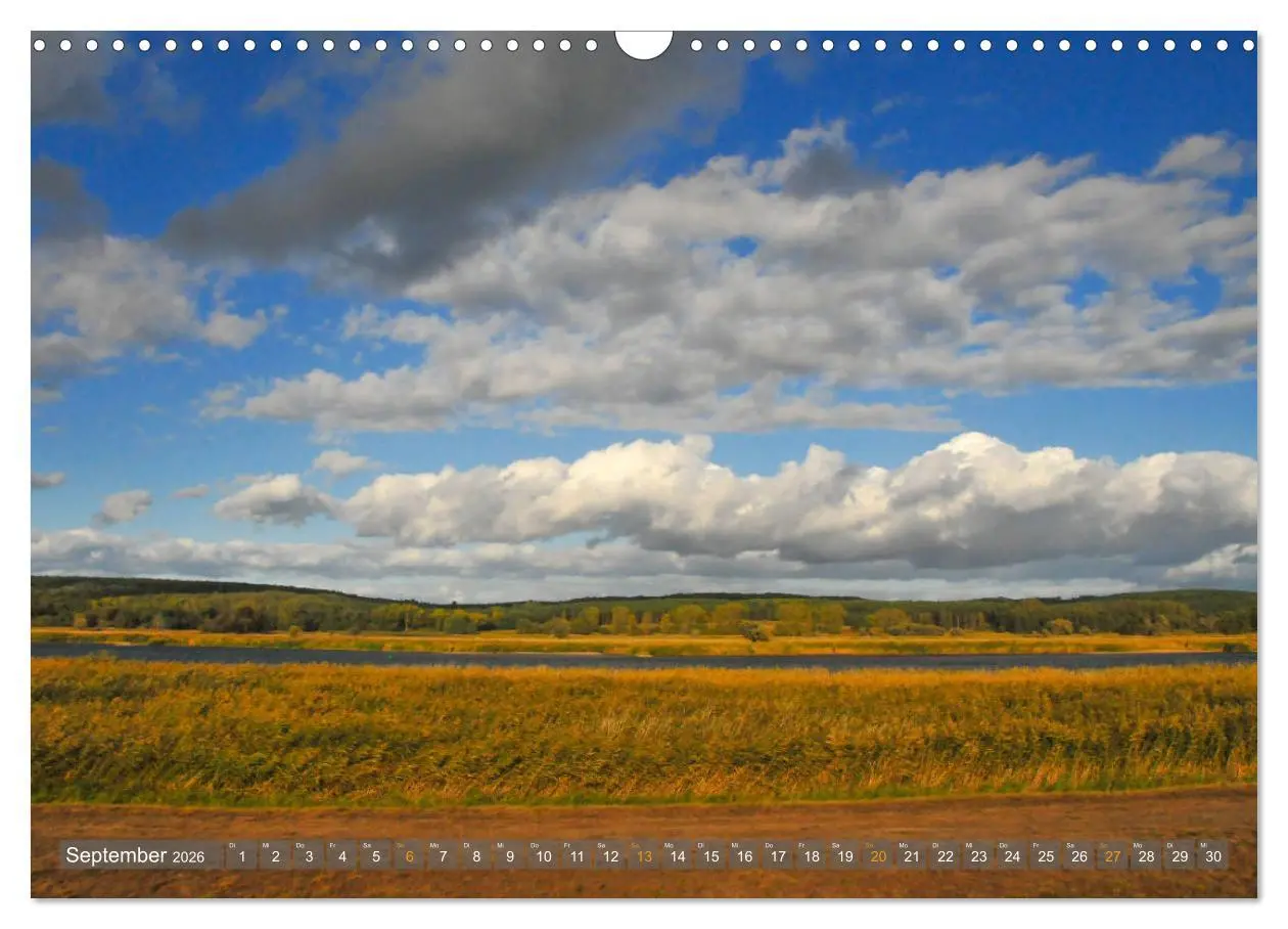Bild: 9783457786581 | Im Oderbruch (Wandkalender 2026 DIN A3 quer), CALVENDO Monatskalender