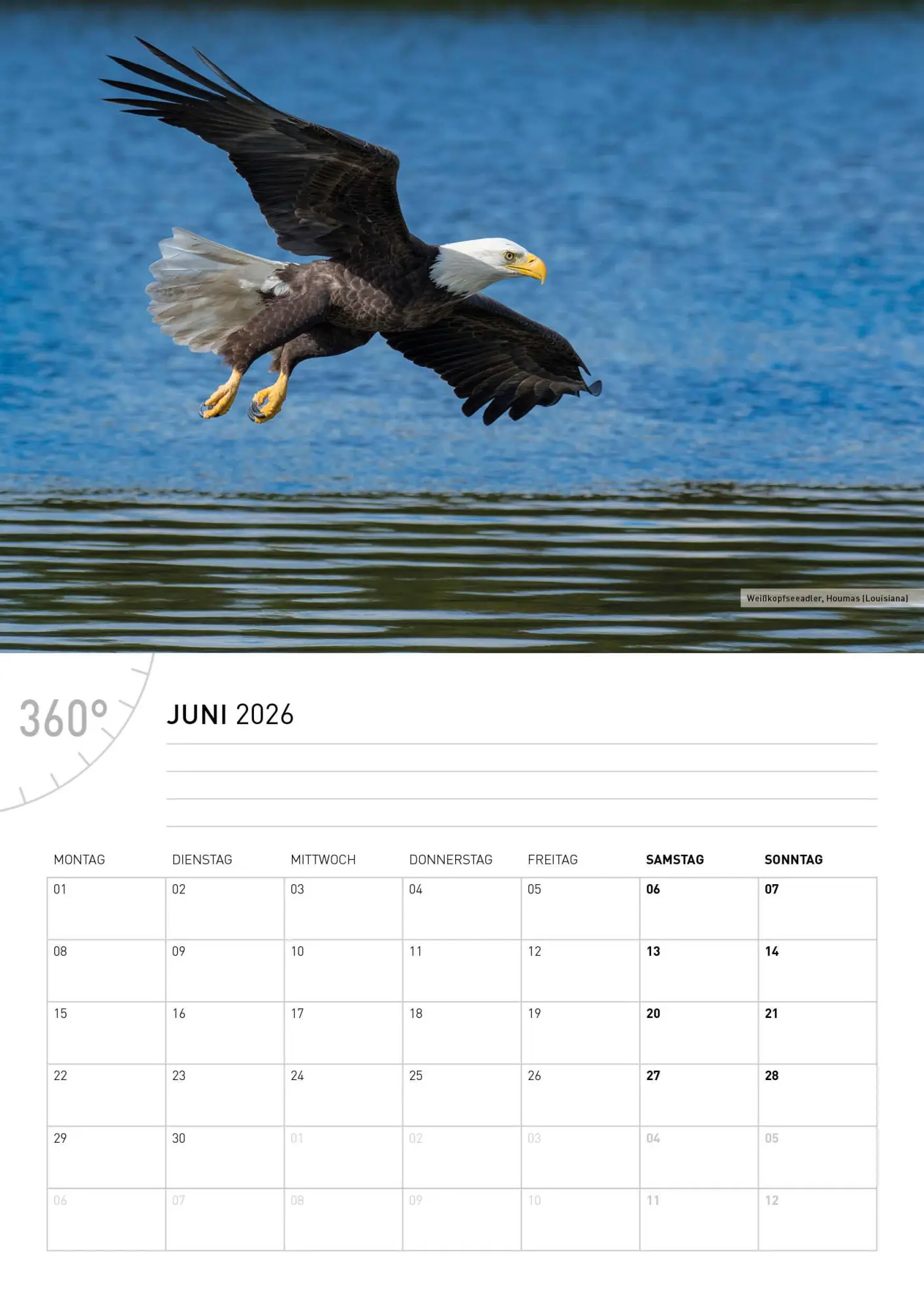Bild: 9783968556581 | USA Broschürenkalender 2026 | Christian Heeb | Kalender | 28 S. | 2026