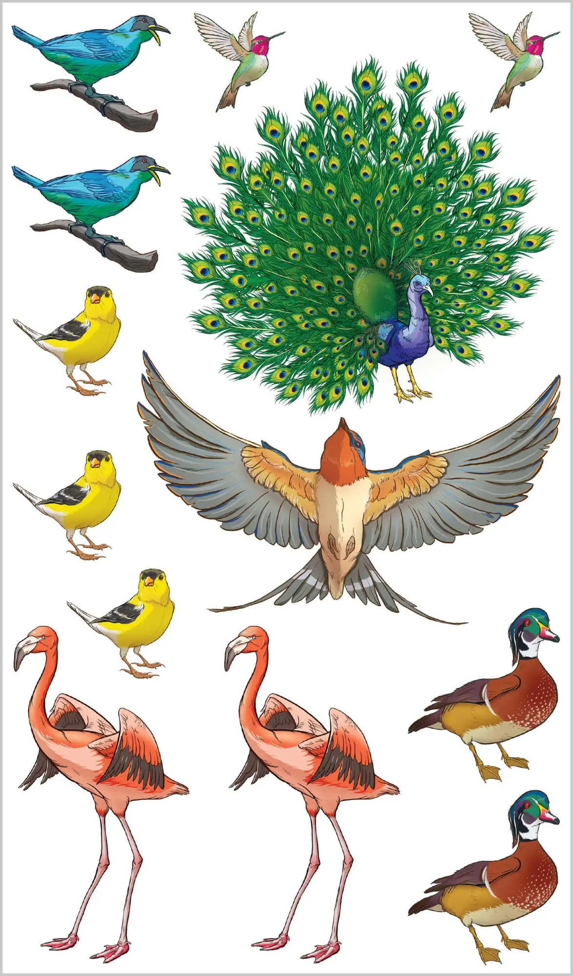 Bild: 9781635866681 | Soaring, Singing Tattoo Birds | 50 Temporary Tattoos That Teach | Buch