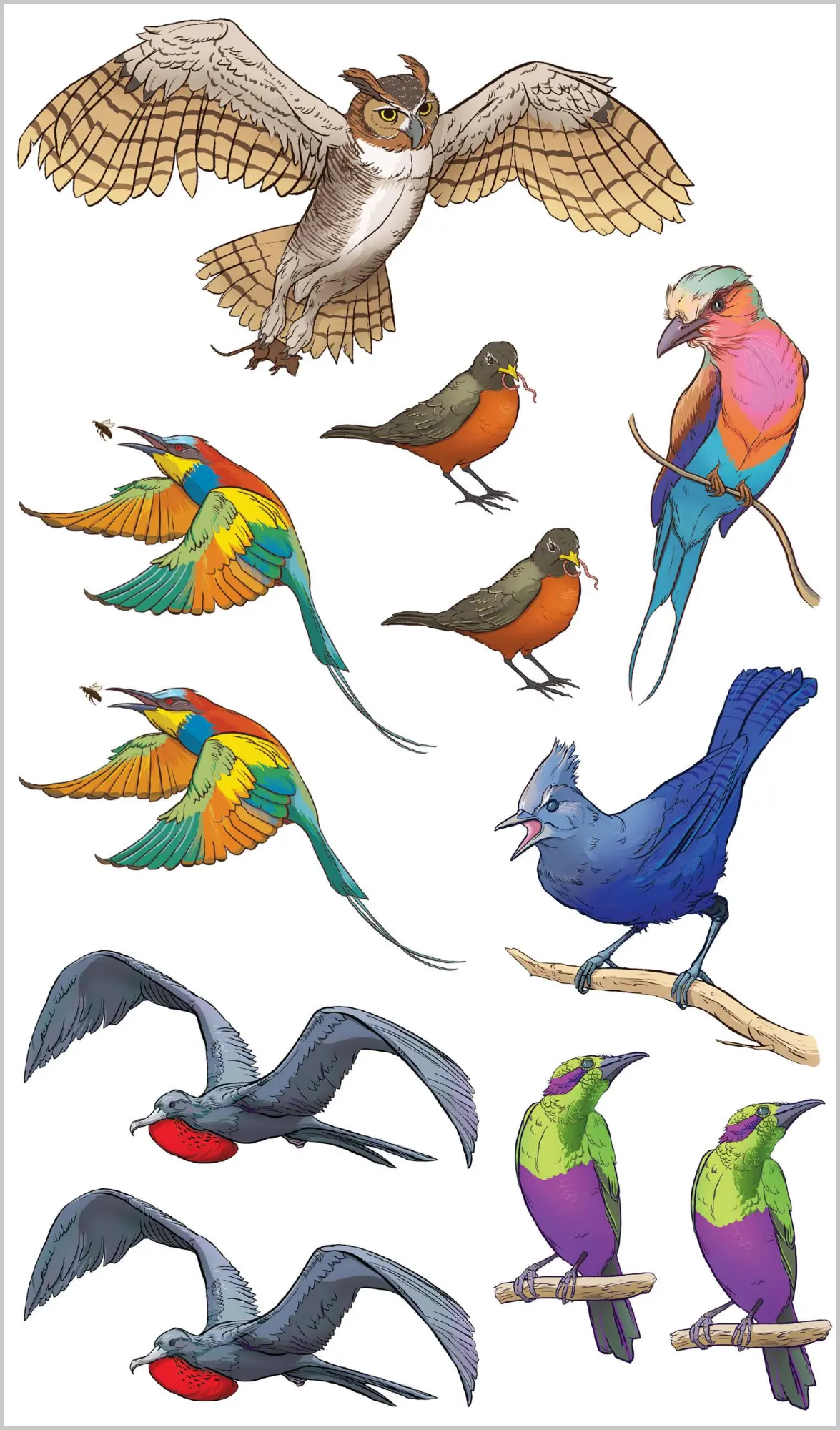 Bild: 9781635866681 | Soaring, Singing Tattoo Birds | 50 Temporary Tattoos That Teach | Buch