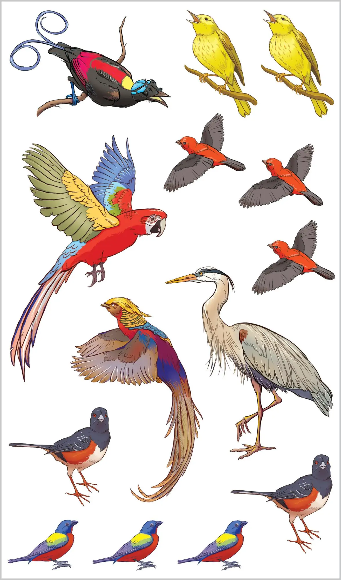 Bild: 9781635866681 | Soaring, Singing Tattoo Birds | 50 Temporary Tattoos That Teach | Buch
