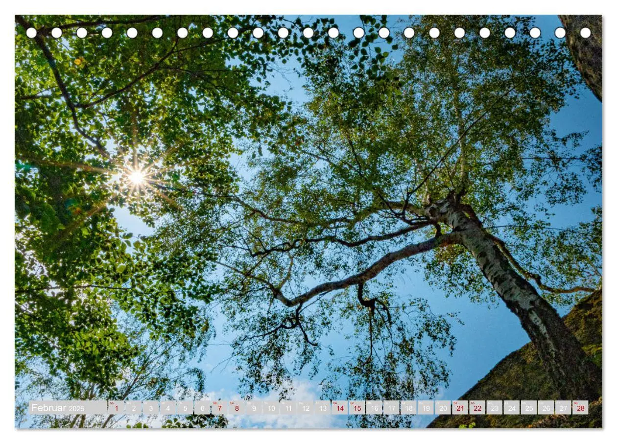 Bild: 9783457776681 | Naturpark Zittauer Gebirge (Tischkalender 2026 DIN A5 quer),...