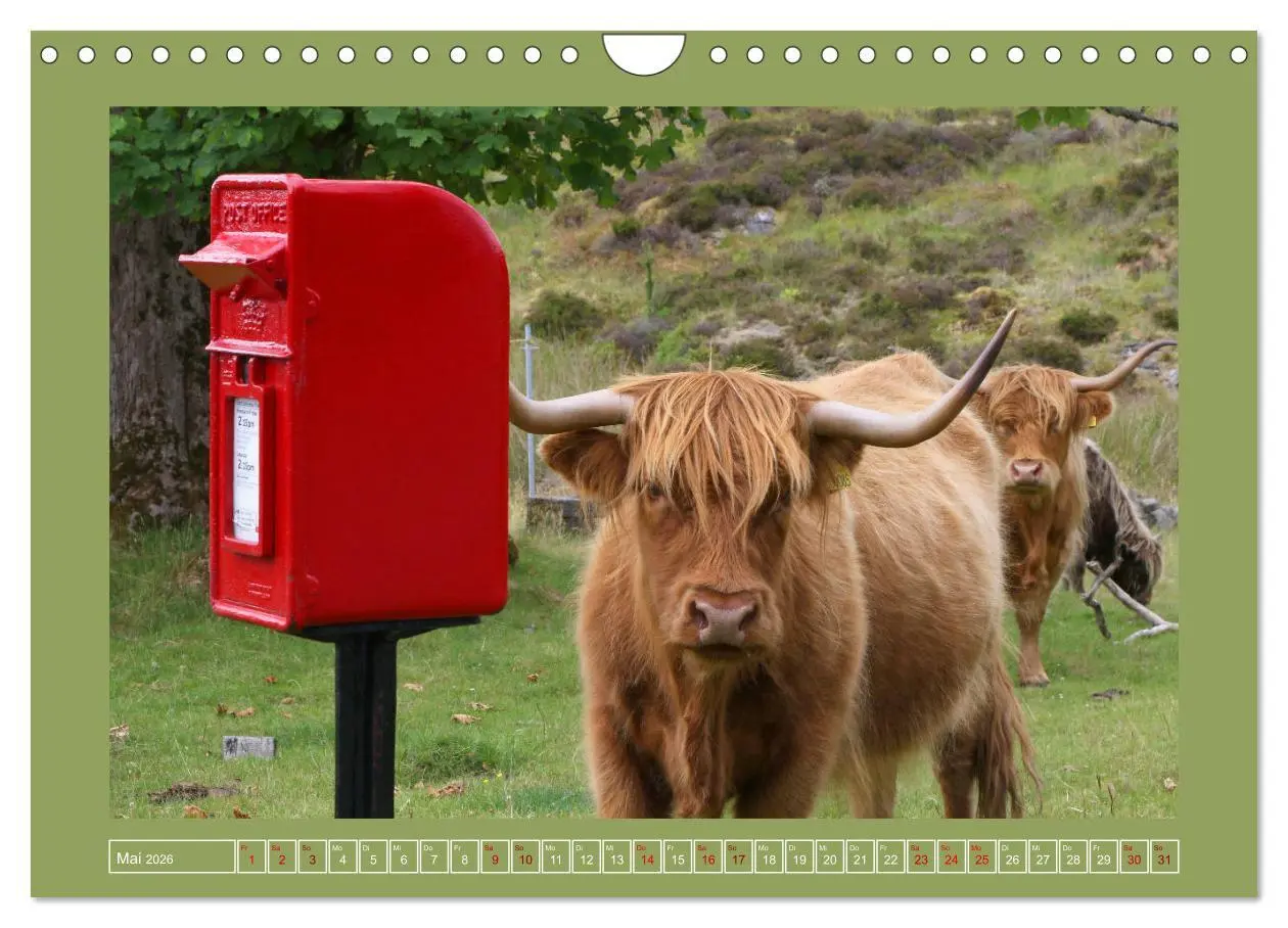Bild: 9783457916681 | Sie haben Post - Briefkästen in Schottland (Wandkalender 2026 DIN...