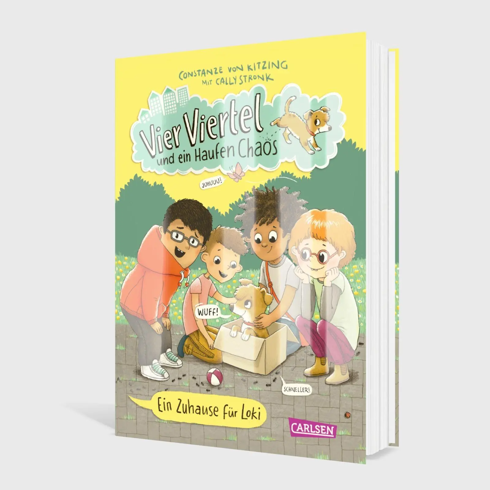 Bild: 9783551656681 | Vier Viertel und ein Haufen Chaos 1: Ein Zuhause für Loki | Buch