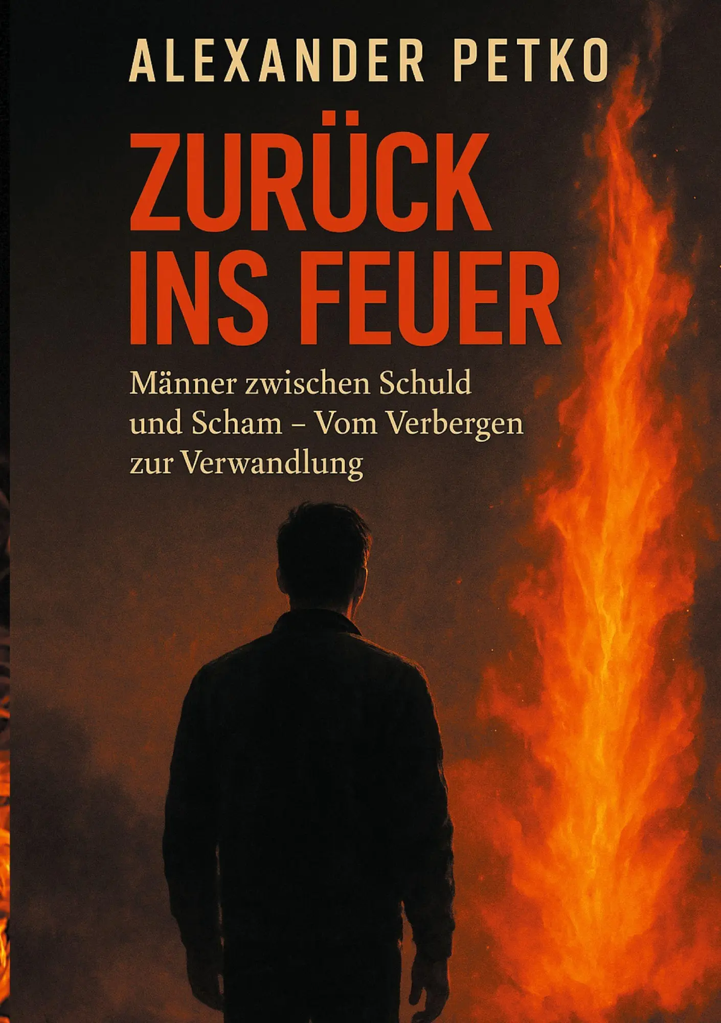 Cover: 9783695126781 | Zurück ins Feuer | Alexander Petko | Taschenbuch | Zurück ins Feuer