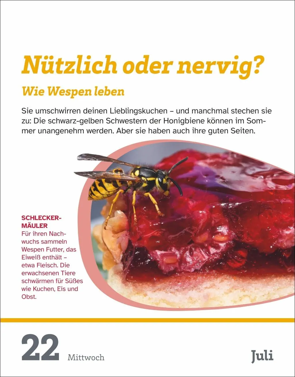 Bild: 9783840036781 | WAS IST WAS Der Kalender Tagesabreißkalender 2026 - Kinderkalender
