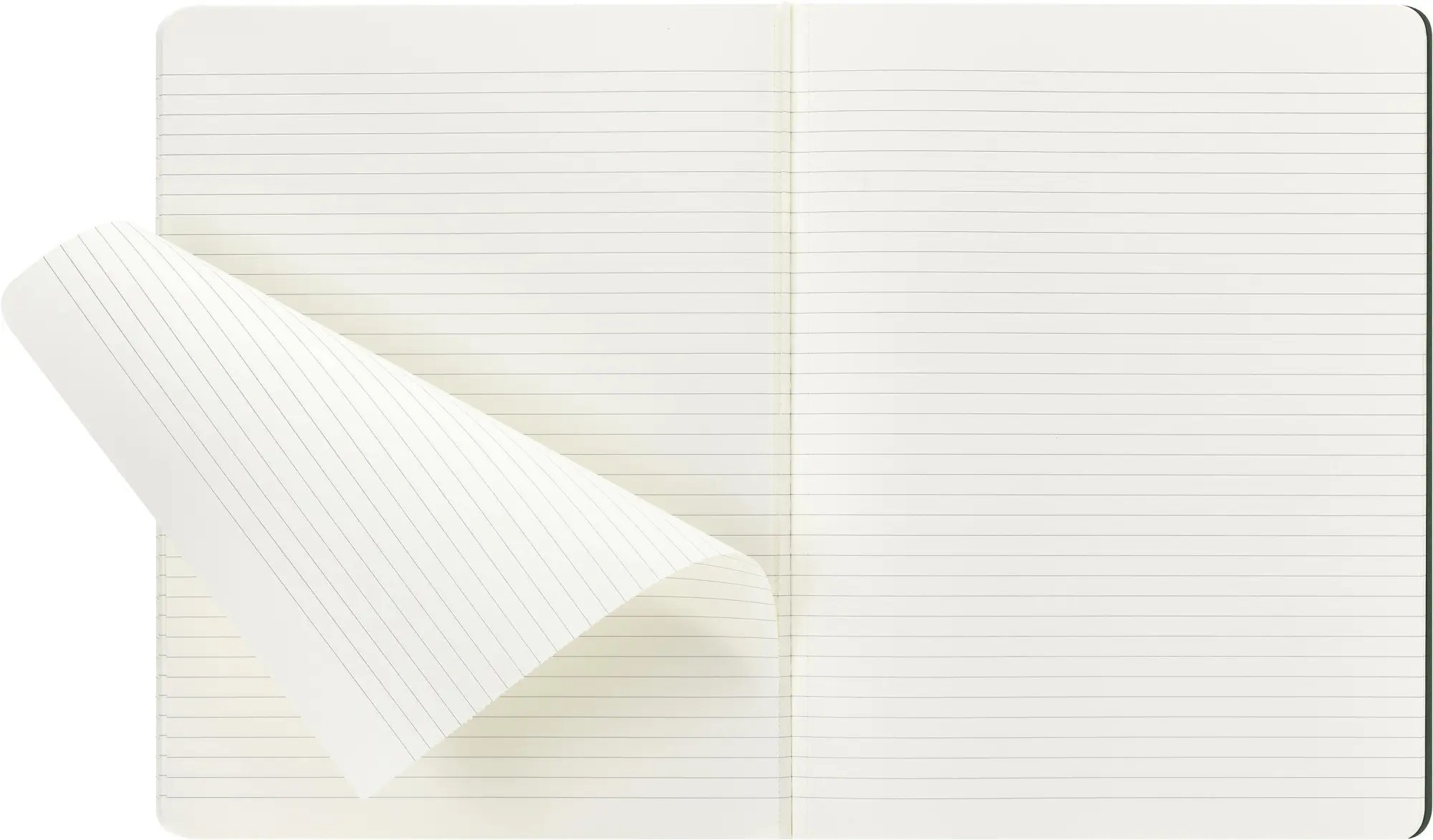 Bild: 8056999276881 | Moleskine Student Cahier, XXL, liniert, Kartoneinband, Myrtengrün