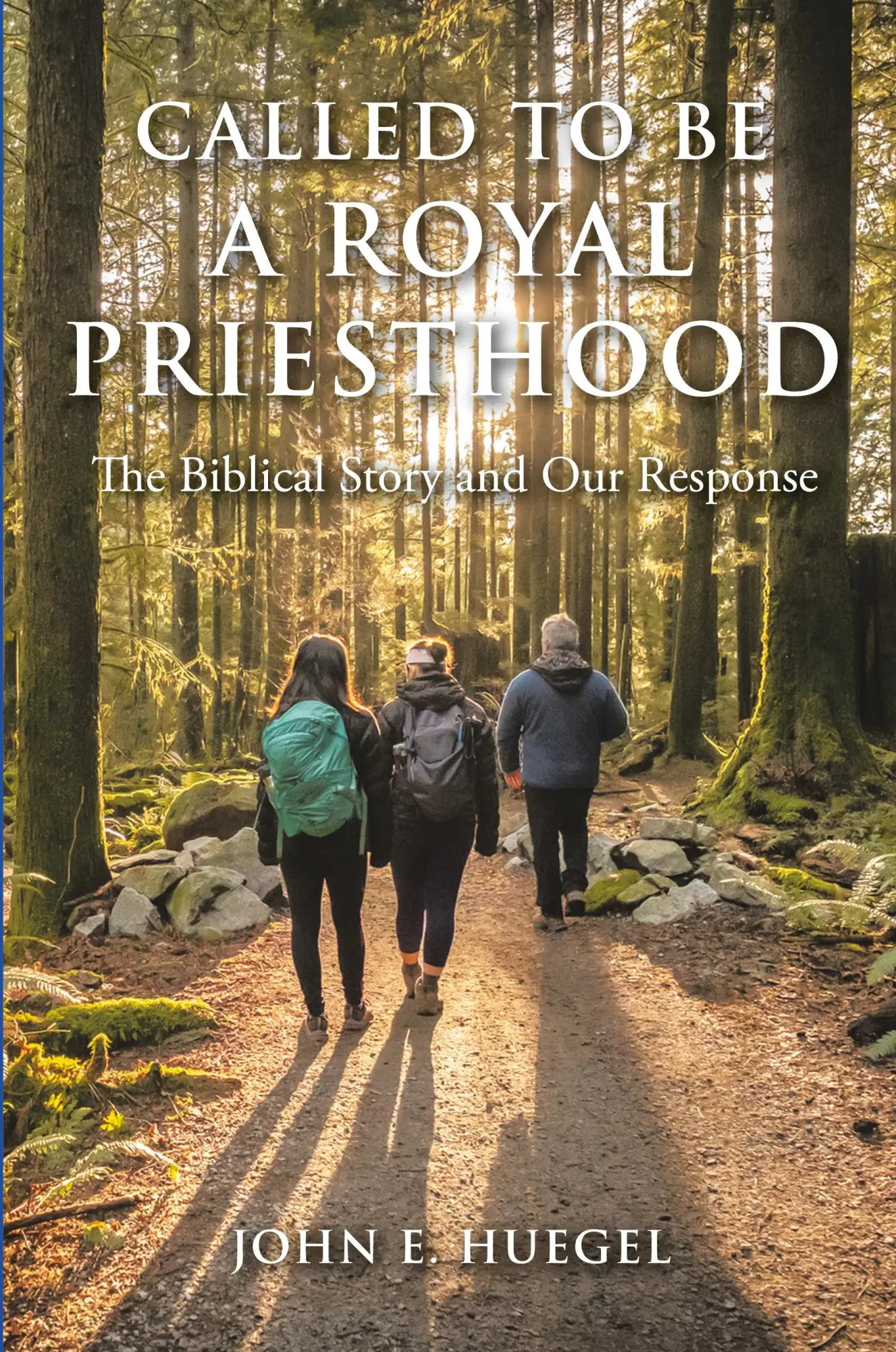 Cover: 9781669816881 | Called to Be a Royal Priesthood | The Biblical Story and Our Response