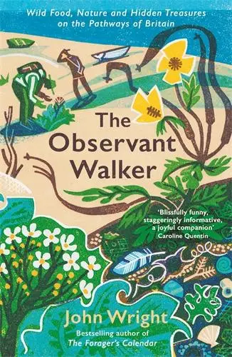 Cover: 9781788166881 | The Observant Walker | John Wright | Taschenbuch | Englisch | 2024