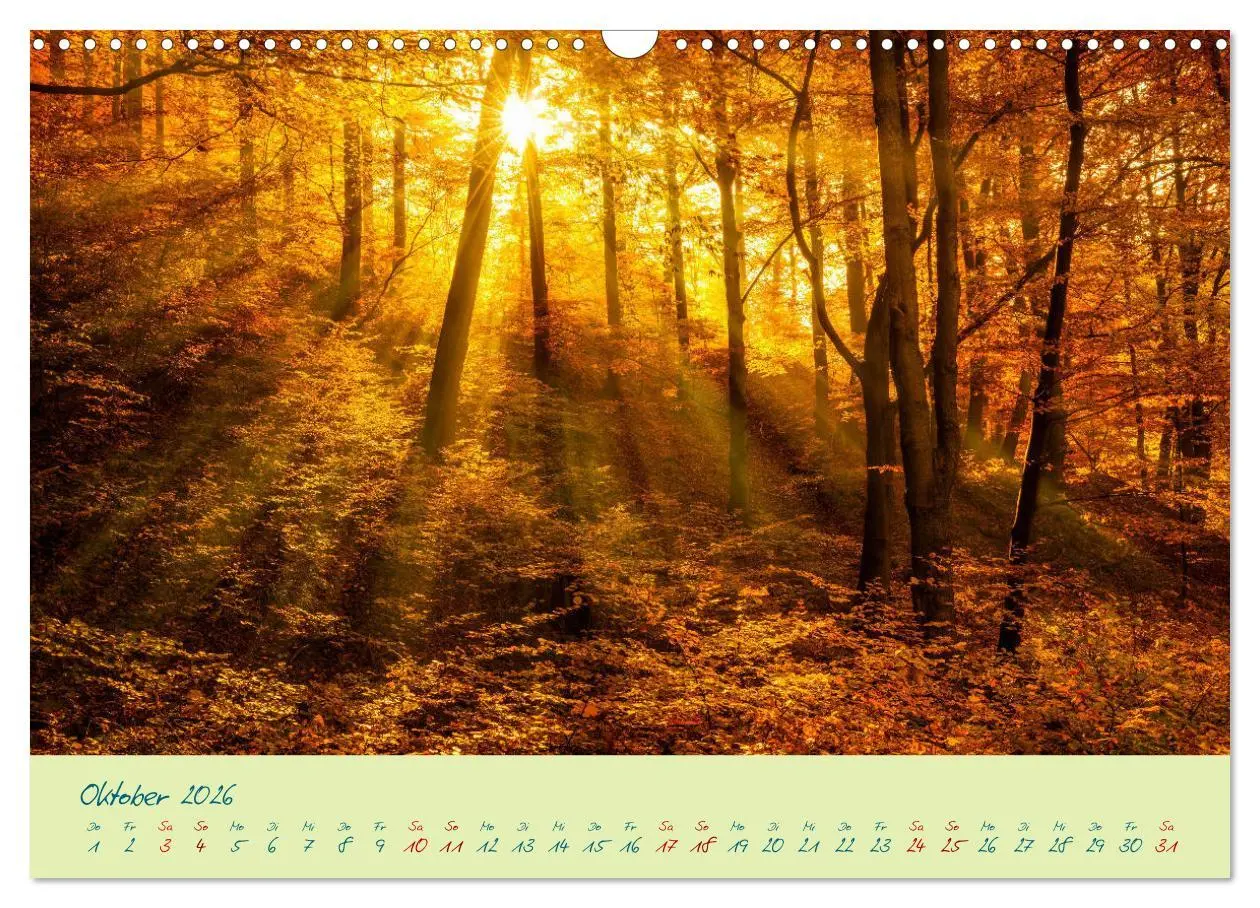 Bild: 9783457756881 | Harz Natur pur und Weltkulturerbe (Wandkalender 2026 DIN A3 quer),...