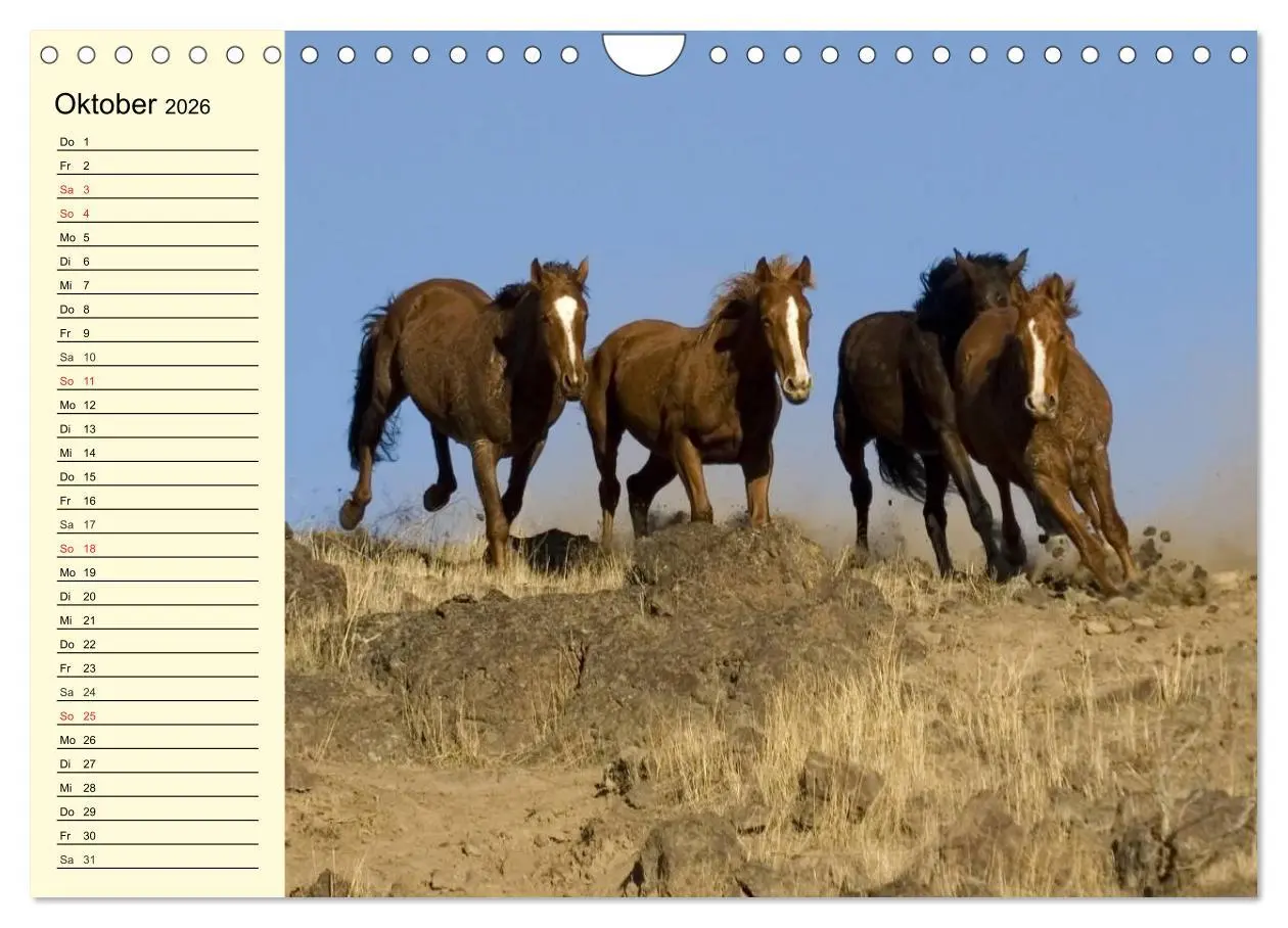Bild: 9783457996881 | Wilde Pferde. Mustangs in USA (Wandkalender 2026 DIN A4 quer),...