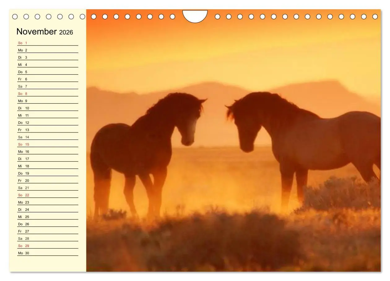 Bild: 9783457996881 | Wilde Pferde. Mustangs in USA (Wandkalender 2026 DIN A4 quer),...