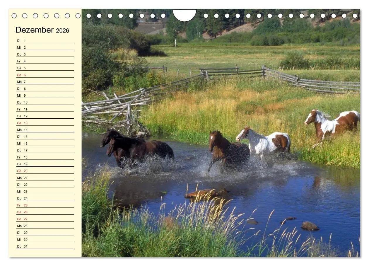 Bild: 9783457996881 | Wilde Pferde. Mustangs in USA (Wandkalender 2026 DIN A4 quer),...