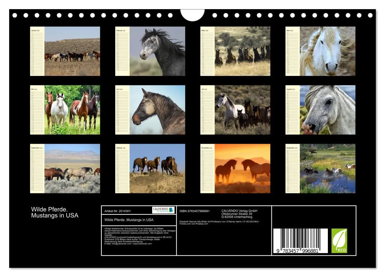Bild: 9783457996881 | Wilde Pferde. Mustangs in USA (Wandkalender 2026 DIN A4 quer),...