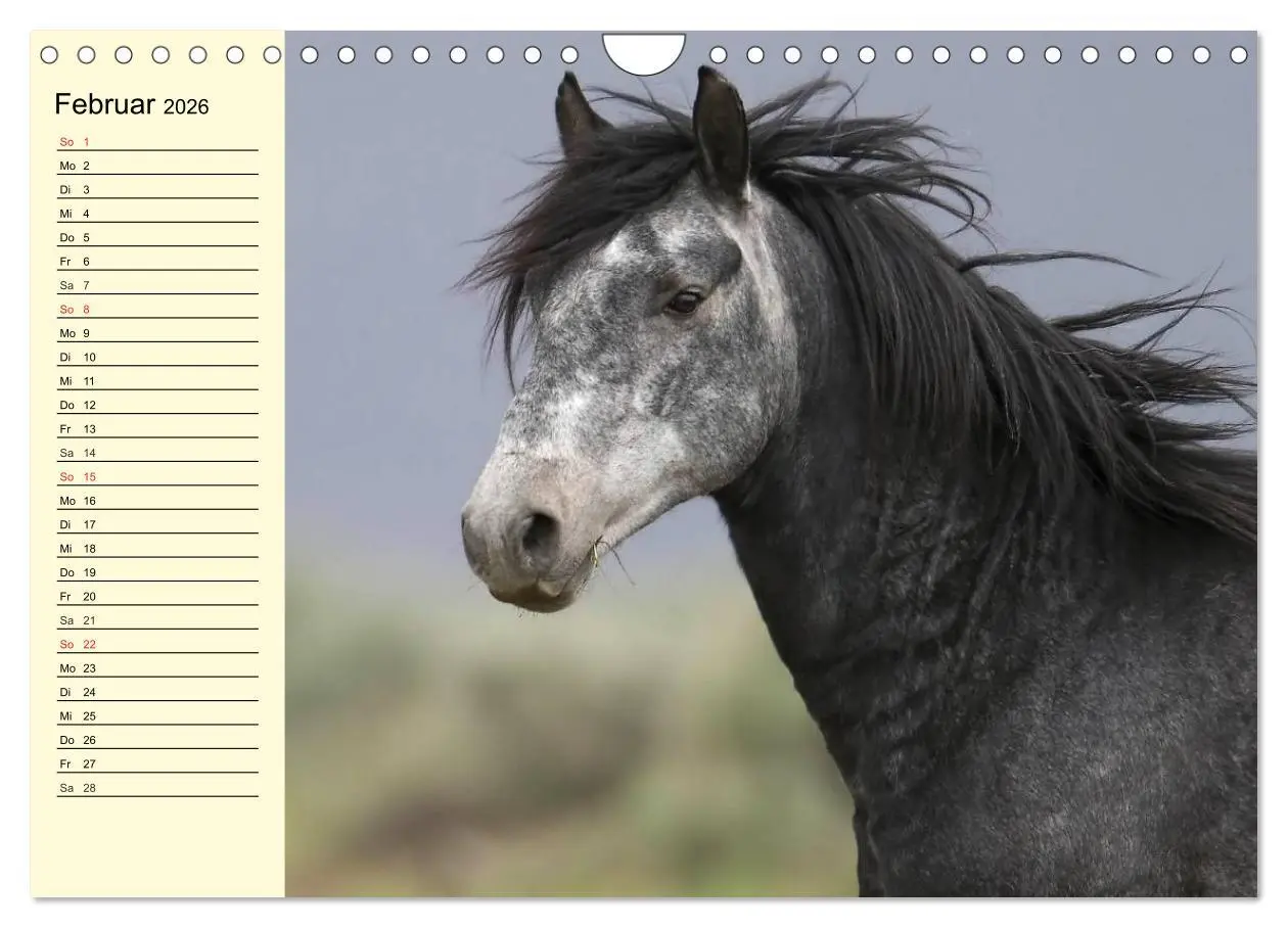 Bild: 9783457996881 | Wilde Pferde. Mustangs in USA (Wandkalender 2026 DIN A4 quer),...