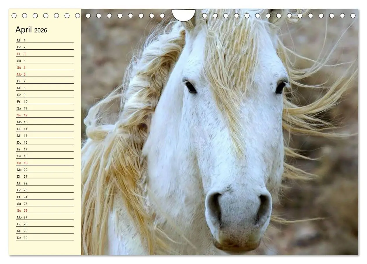 Bild: 9783457996881 | Wilde Pferde. Mustangs in USA (Wandkalender 2026 DIN A4 quer),...